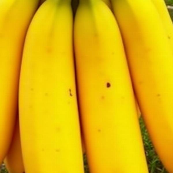 Bananas Maduras em Sonho: Prosperidade e Realização