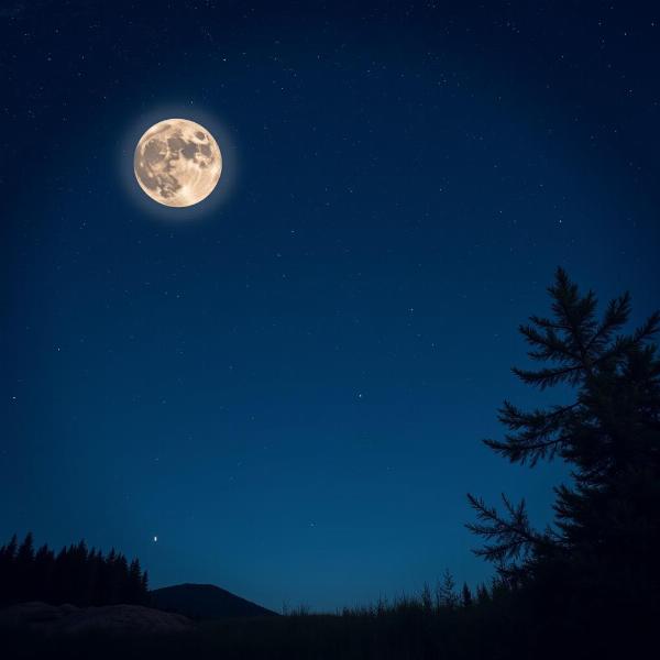 Sonhar com céu estrelado e lua cheia: Um mergulho no inconsciente e nas emoções.