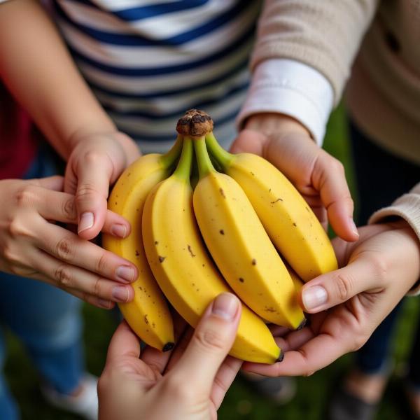 Sonhar com cachos de banana madura pode representar a família