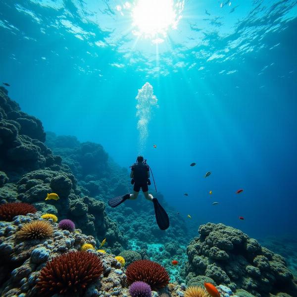 Sonhar com mar cristalino e profundidade: Um mergulhador explora as profundezas de um mar cristalino, cercado por corais e peixes coloridos.